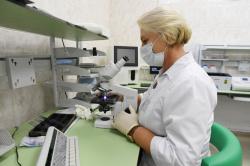 Область выделила дополнительные средства на борьбу с COVID-19