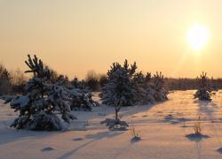 Отдыхаем с Gatchina24.ru: 23 - 24 марта