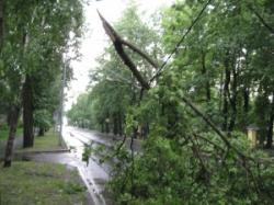 Гроза в Гатчине натворила много бед