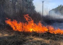 За неделю поступило более 160 сигналов о палах сухой травы