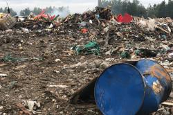 Ущерб почвам от незаконной свалки у Нового Света составил более 140 млн. рублей