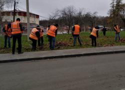 На уборку листвы добавят сил