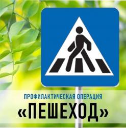 В Гатчине и районе сотрудники ГИБДД отслеживают пешеходов - нарушителей ПДД
