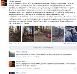 От падения ветки пострадала женщина