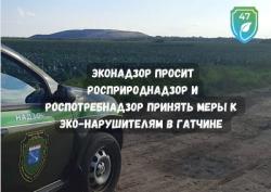 Эконадзор просит принять меры к эко-нарушителям в Гатчине