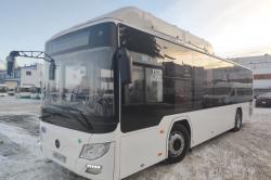 Жители области предпочитают автобус и электричку