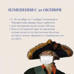 Для посещения Гатчинского и Приоратского дворцов необходимо предоставить QR-код