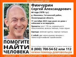 Под Гатчиной пропал мужчина с собаками