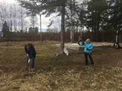 В Гатчине начались традиционные весенние субботники