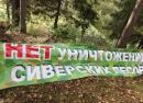 Сиверский лес: причинен имущественный вред России