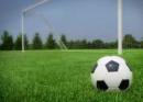 В Гатчине построят профессиональный футбольный  стадион