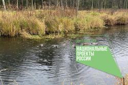 Расчистка гатчинских озер - в числе приоритетных проектов!