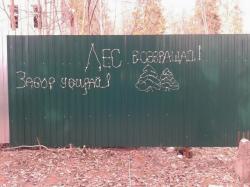 В Сиверском лесопарке появилась надпись «Лес возвращай! Забор убирай!»