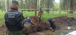 В гатчинском парке найдены скелетированные останки одиннадцати человек (видео)