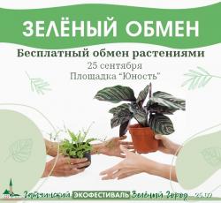 В Гатчине пройдёт акция «Зелёный обмен» — свободный обмен комнатными и садовыми растениями