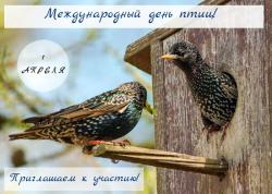 В Приоратском парке Гатчины отметят Международный день птиц