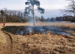 В Приоратском парке выгорела обширная территория