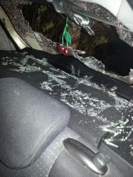 В Гатчине подожгли три автомобиля, один разбит (розыск свидетелей)