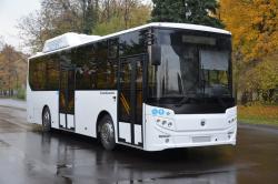 Гатчинский район получит новые автобусы