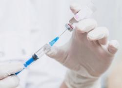 Вакцинация от COVID–19 в Гатчине и районе: адреса