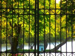 Дворцовый парк Гатчины: закрытие продлили до 28 июня