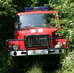 В Гатчинском районе пожарные спасли четверых человек