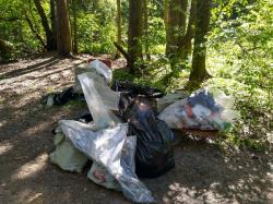 На «Чистых играх» в Гатчине собрали больше тонны мусора