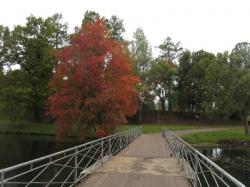 В Гатчинском парке навсегда снимут мост на основном транзите