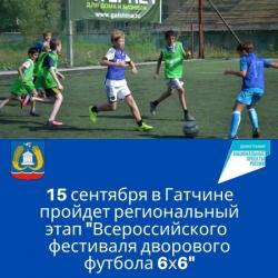 В Гатчине пройдет региональный этап Всероссийского фестиваля дворового футбола