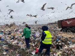 На полигоне под Гатчиной обнаружены запрещенные к размещению отходы