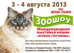 <b> 3 и 4 августа </b> Международная выставка кошек